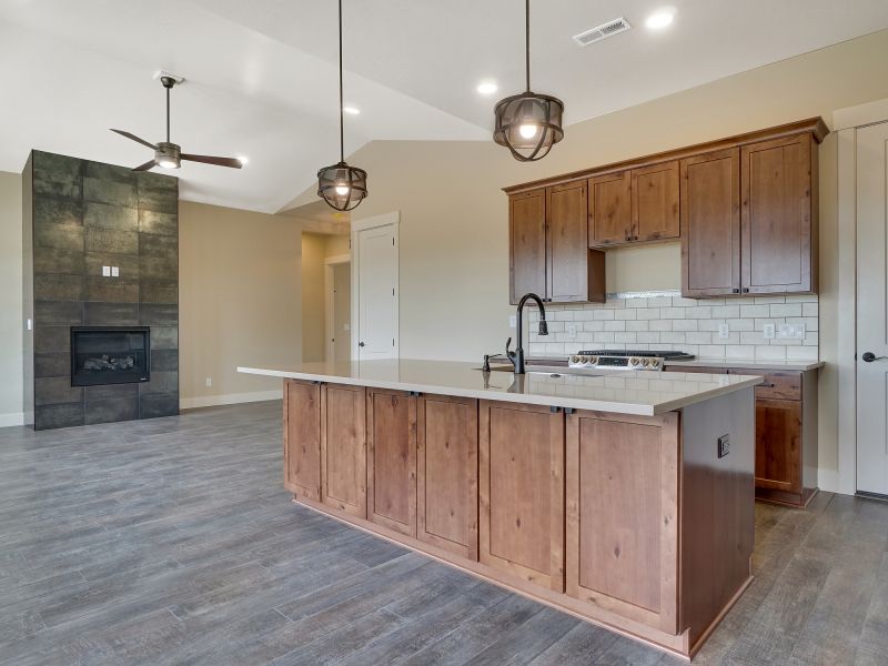 Modern Kitchen Renovation